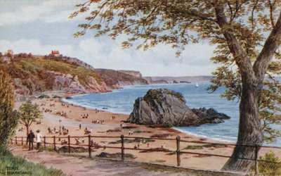 Tenby, Le Sabbie del Nord da Alfred Robert Quinton